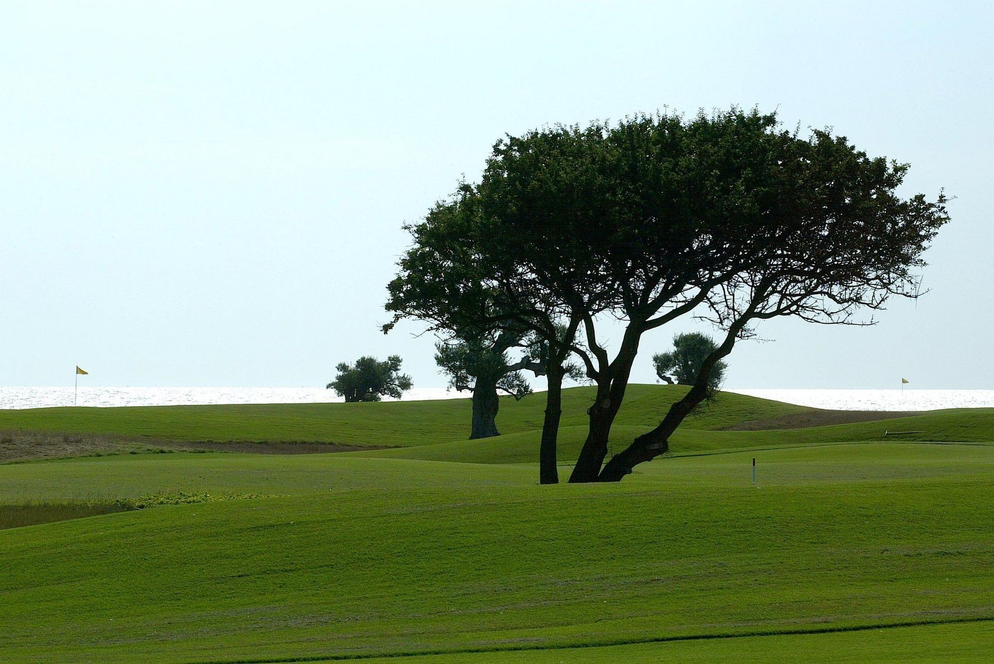 Masseria San Domenico Savelletri公司